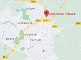 Route Dierenarts Oldenzaal, Twente
